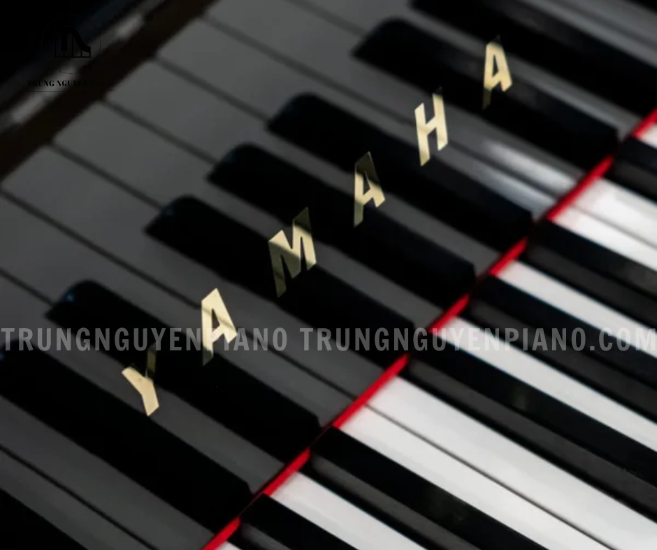 Đàn Piano Grand Yamaha C7E 4 Bàn phím của Yamaha C7E sử dụng chất liệu ngà nhân tạo cho các phím trắng và gỗ mun tự nhiên cho các phím đen