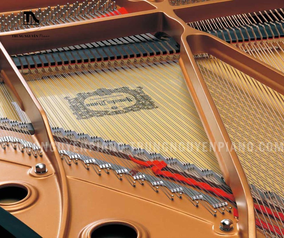 Đàn Piano Grand Yamaha C7E với bộ khung gang đúc màu vàng đồng rực rỡ lộ diện bên trong, tương phản mạnh mẽ với lớp vỏ đen bên ngoài