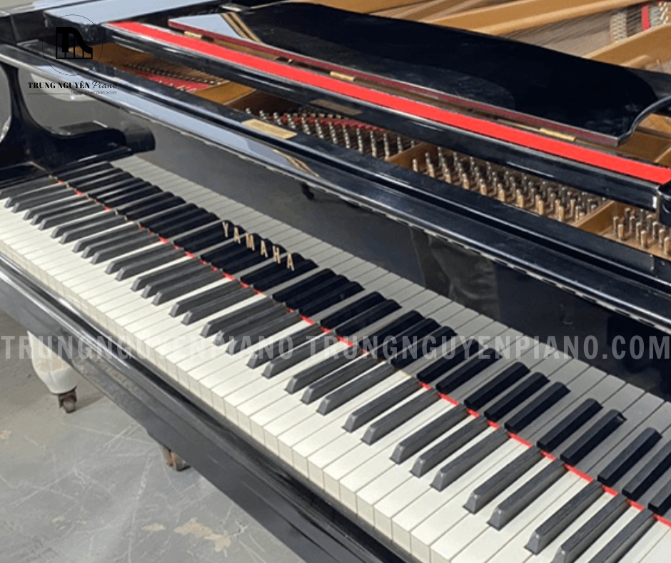 Đàn Piano Grand Yamaha C7E 3 Đàn Piano Grand Yamaha C7E giúp ngón tay bám phím tốt hơn, hạn chế trơn trượt