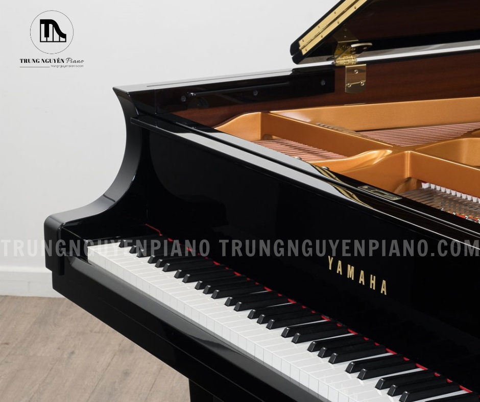 Đàn Piano Grand Yamaha CF4 sở hữu tỷ lệ vàng của một cây đàn Salon Grand