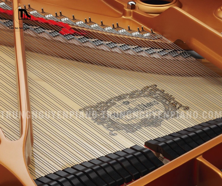 Đàn Piano Grand Yamaha CF4 5 Bảng cộng hưởng của CF4 được làm từ gỗ vân sam châu Âu tuyển chọn