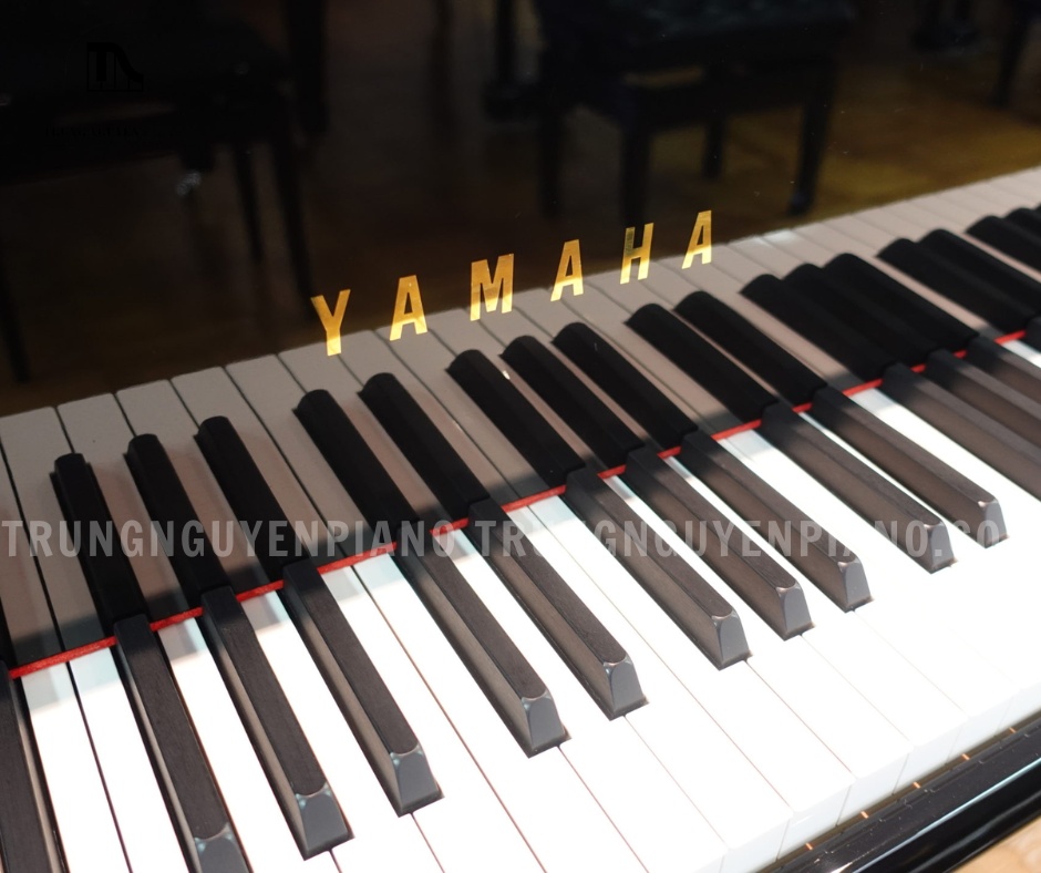 Đàn Piano Grand Yamaha CF6 3 Bàn phím Ivorite & gỗ mun của Đàn Piano Grand Yamaha CF6