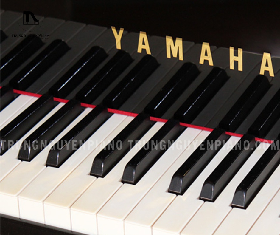 Đàn Piano Grand Yamaha CFIII 5 Các phím đen thường được làm từ gỗ mun hoặc vật liệu gỗ cao cấp đã qua chọn lọc