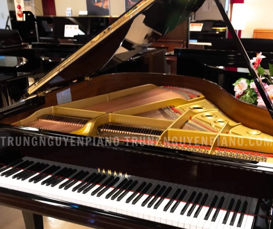 Đàn Piano Grand Yamaha G1B có thiết kế chân đàn cổ điển, lớp sơn bóng