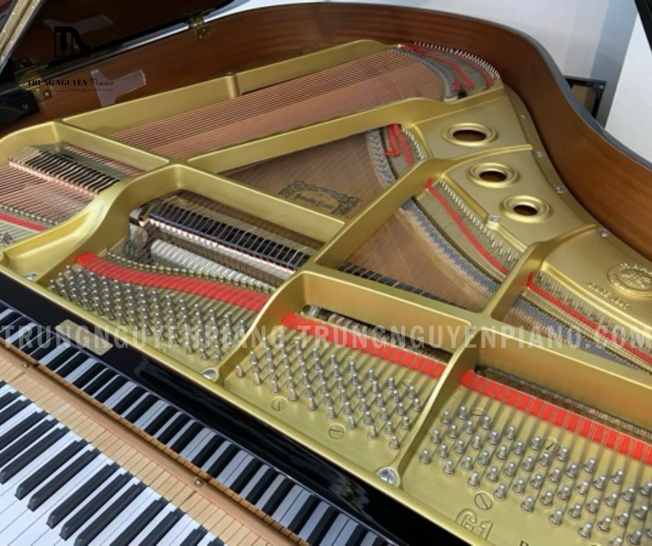 Đàn Piano Grand Yamaha G1B 9 Đàn Piano Grand Yamaha G1B có khung đàn từ sắt đúc theo công nghệ V-Pro Plate