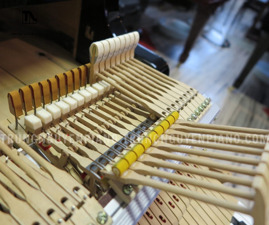 Đàn Piano Grand Yamaha G1B 3 Đàn Piano Grand Yamaha G1B trang bị hệ thống Action làm từ gỗ cứng và kim loại tuyển chọn