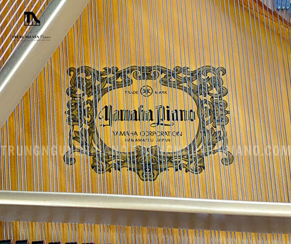 Đàn Piano Grand Yamaha G2A 3 Đàn Piano Grand Yamaha G2A được trang bị dây đàn cứng cáp và chịu lực cực kỳ tốt