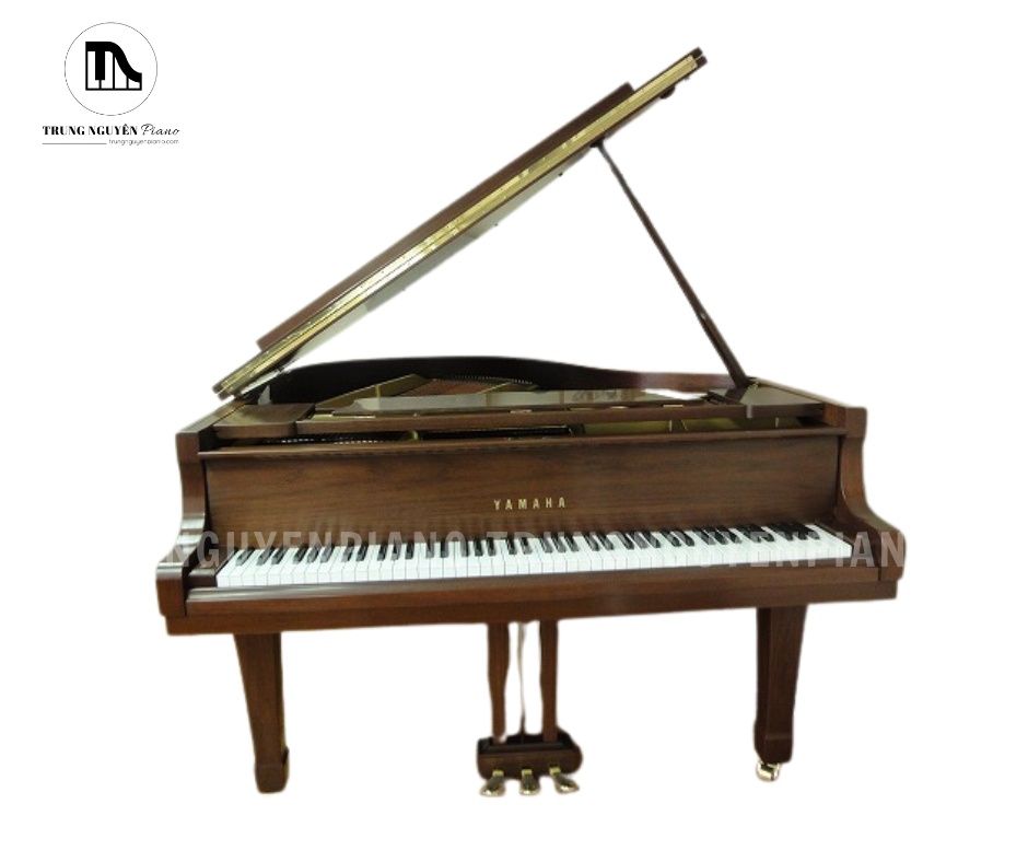 Yamaha G2B là mẫu đàn grand được sản xuất bởi tập đoạn Yamaha tại Nhật Bản