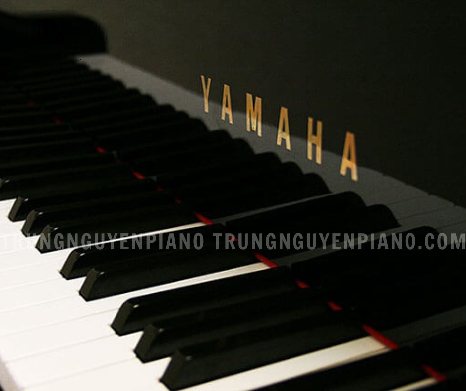 Đàn Piano Grand Yamaha G2E mang lại cảm giác phím với độ nhạy và sự bền bỉ