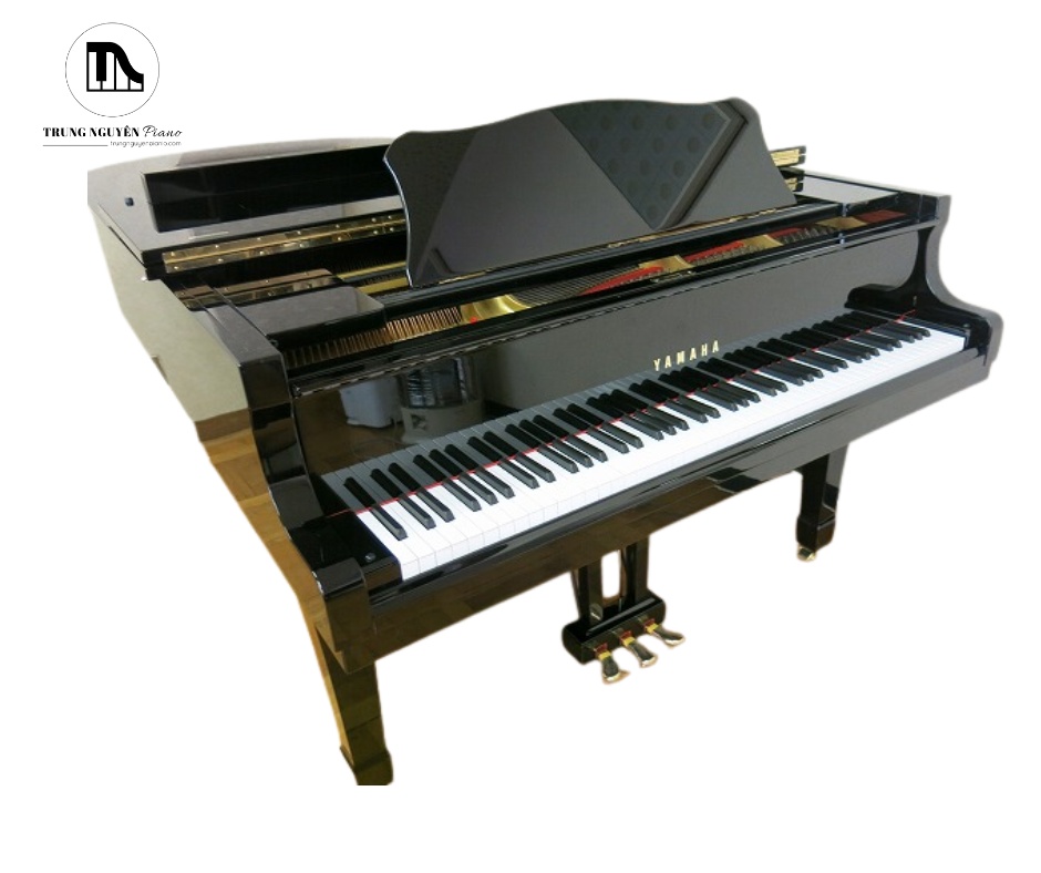 Yamaha G3A là mẫu đàn grand piano được sản xuất tại Nhật Bản, thuộc dòng G series nổi tiếng của Yamaha