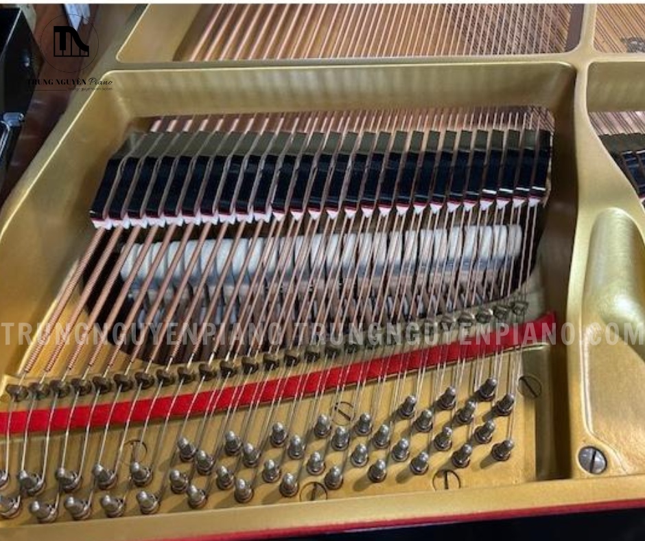Đàn Piano Grand Yamaha G3A 5 Đàn Piano Grand Yamaha G3A được trang bị dây đàn chịu lực tốt
