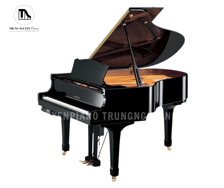 Đàn Piano Grand Yamaha G3B là mẫu grand piano cỡ trung cao cấp