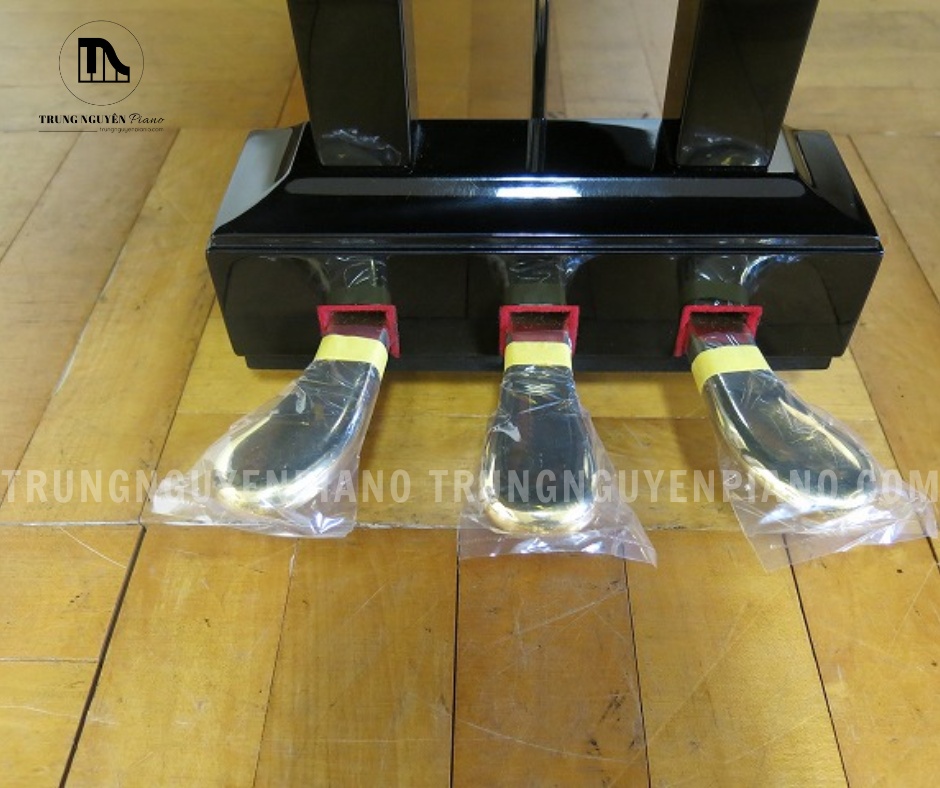 Đàn Piano Grand Yamaha G3B 12 Đàn Piano Grand Yamaha G3B với 3 Pedal (Damper, Sostenuto, Soft)