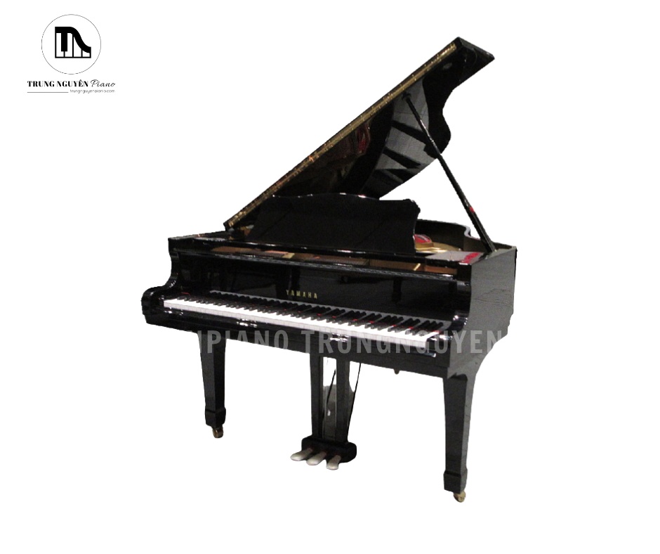 Đàn Piano Grand Yamaha G3B là mẫu đàn được đánh giá cao nhờ thiết kế sang trọng và âm thanh tinh tế