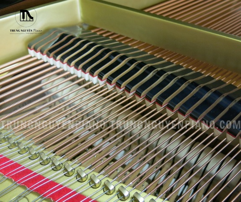 Đàn Piano Grand Yamaha G3B 10 Dây đàn Piano Grand Yamaha G3B làm từ thép cường lực