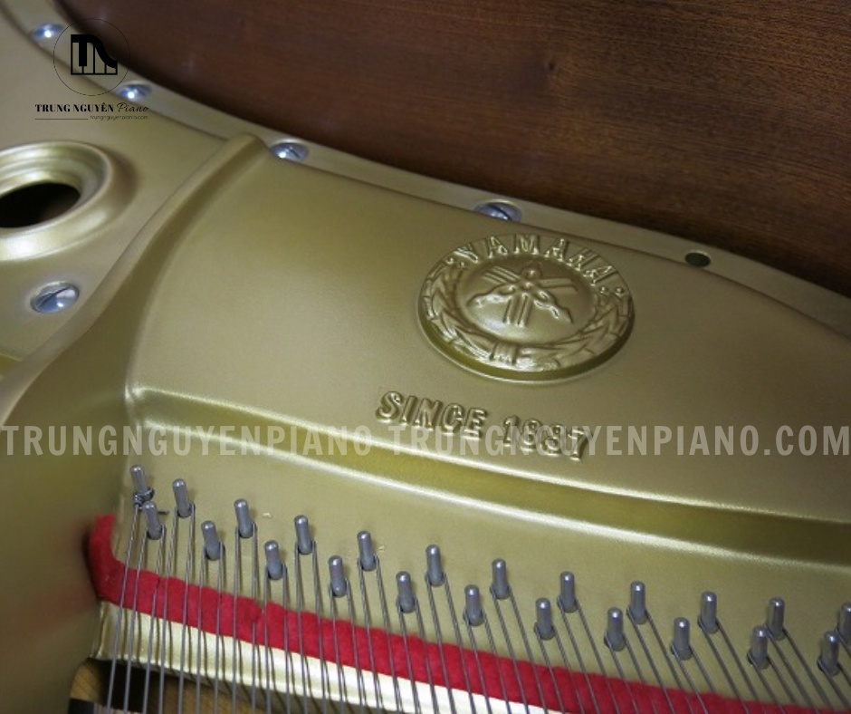 Đàn Piano Grand Yamaha G3B 6 Chất lượng âm thanh của Đàn Piano Grand Yamaha G3B còn được củng cố nhờ bảng cộng hưởng bằng gỗ vân sam nguyên khối