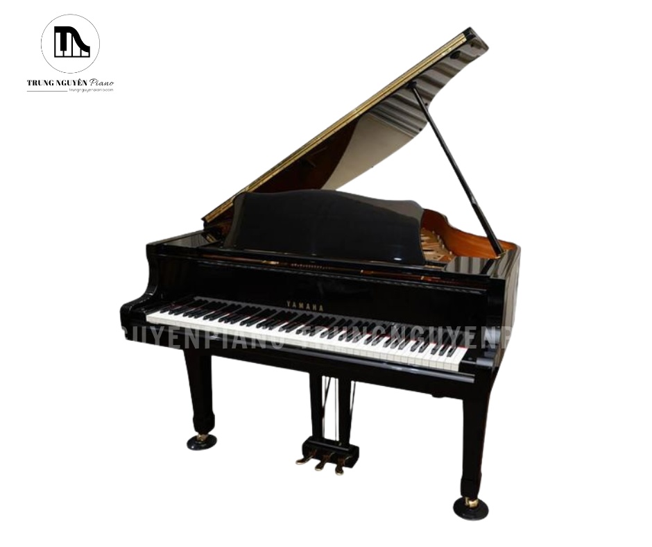 Đàn Piano Grand Yamaha G5B mang lại trải nghiệm chơi chuyên nghiệp