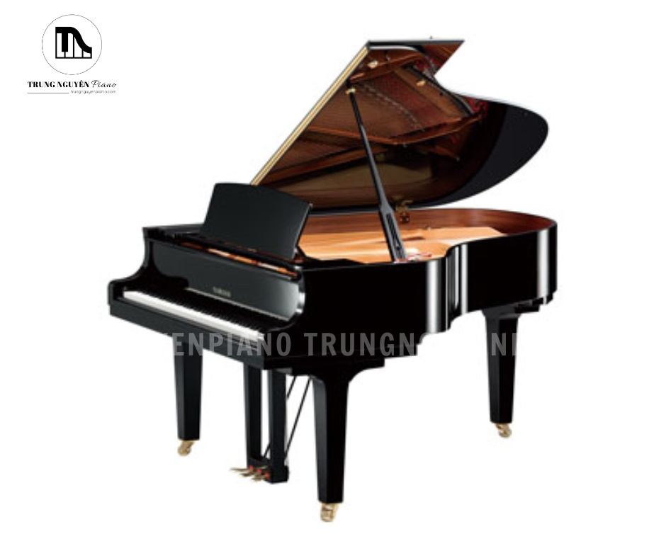 Đàn Piano Grand Yamaha G5B là mẫu đàn được yêu thích nhờ thiết kế đẳng cấp và âm thanh mạnh mẽ, giàu chiều sâu.