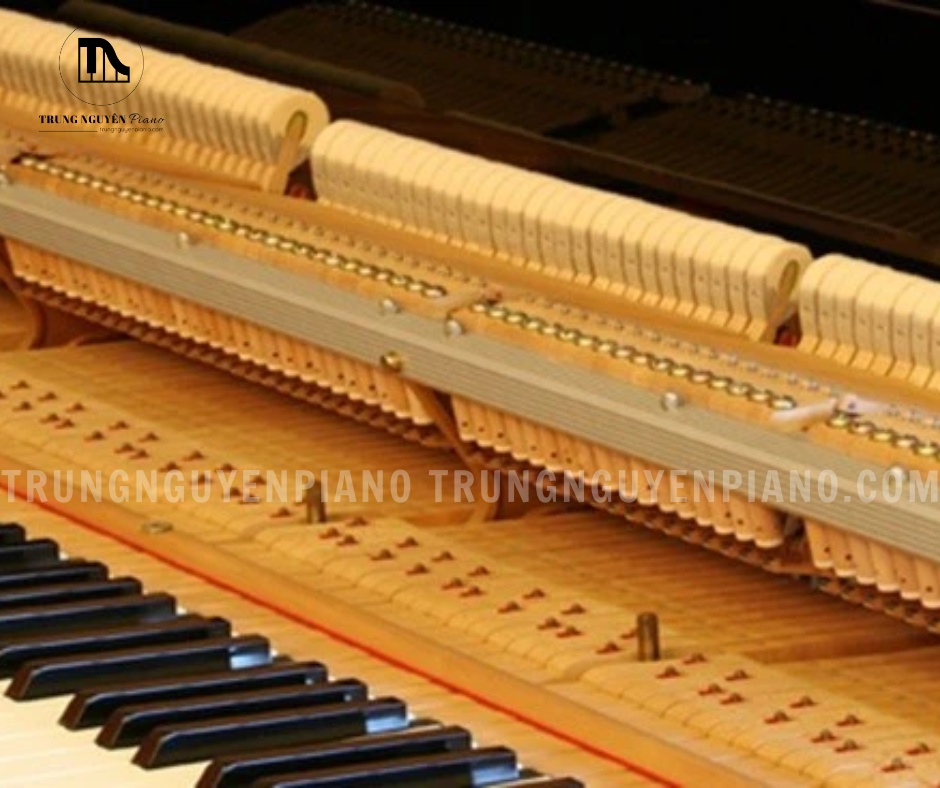 Đàn Piano Grand Yamaha G5E 6 Đàn Piano Grand Yamaha G5E mang lại âm bass sâu và treble sáng rõ