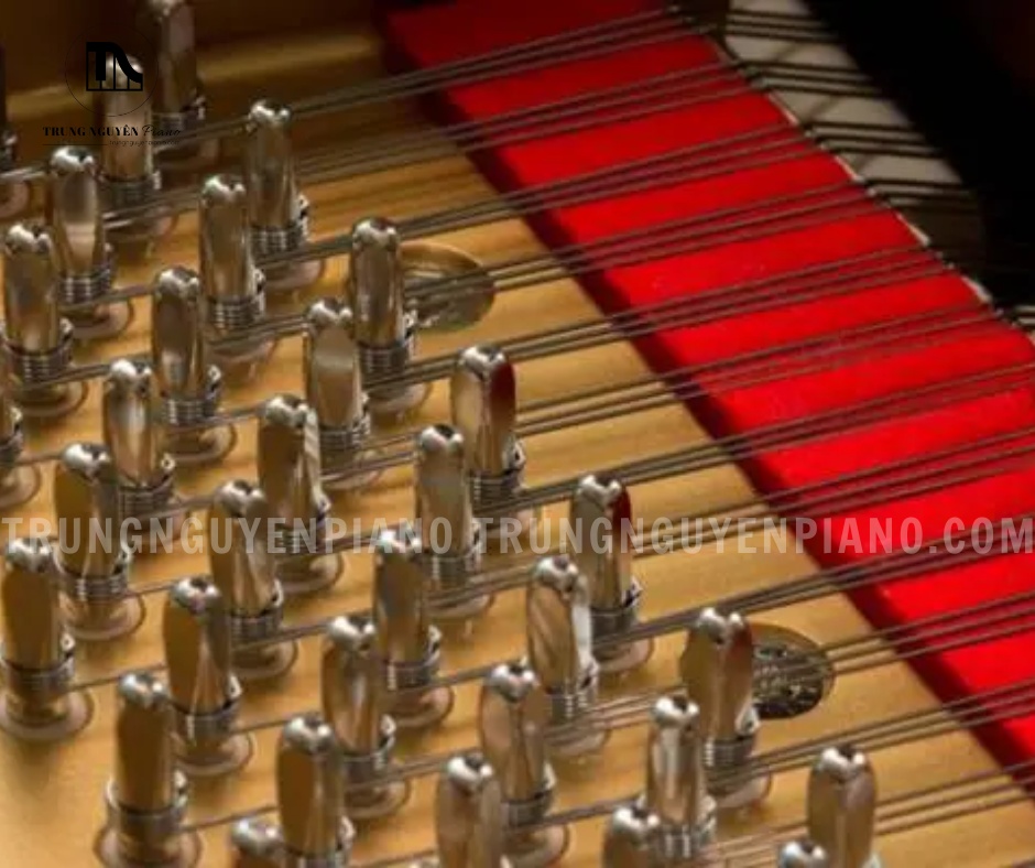 Đàn Piano Grand Yamaha G5E 19 Yamaha G5E được xếp vào dòng Professional Grand