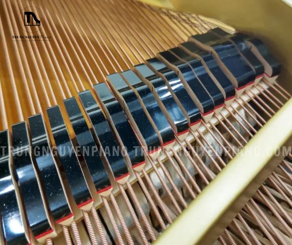 Đàn Piano Grand Yamaha G5E 5 Đàn Piano Grand Yamaha G5E được sản xuất trực tiếp tại Nhật Bản với quy trình chế tác nghiêm ngặt