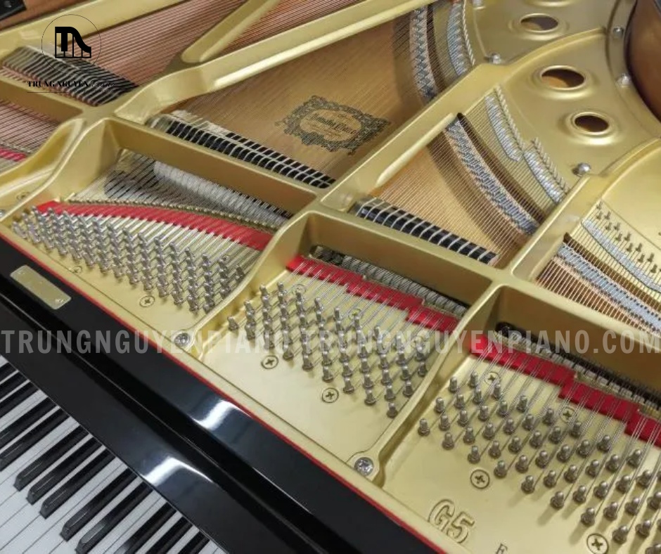 Đàn Piano Grand Yamaha G5E 3 Đàn Piano Grand Yamaha G5E có bộ máy action nhạy và bền bỉ giúp người chơi kiểm soát tốt kỹ thuật biểu diễn