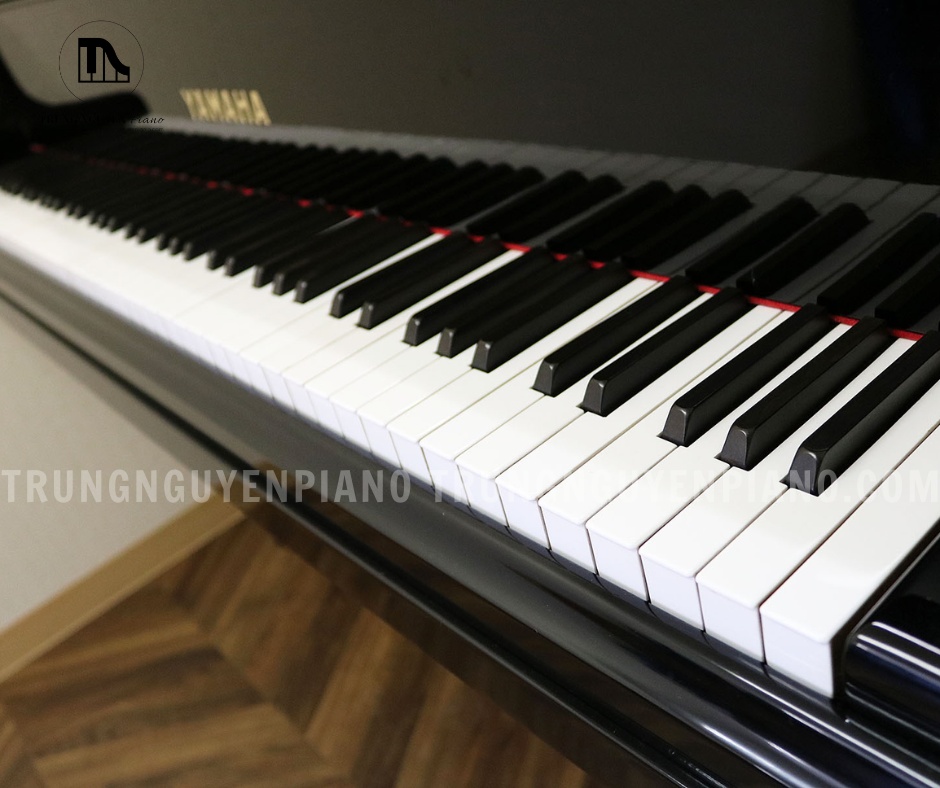 Phím đàn cực kỳ nhạy của Đàn Piano Grand Yamaha No 20