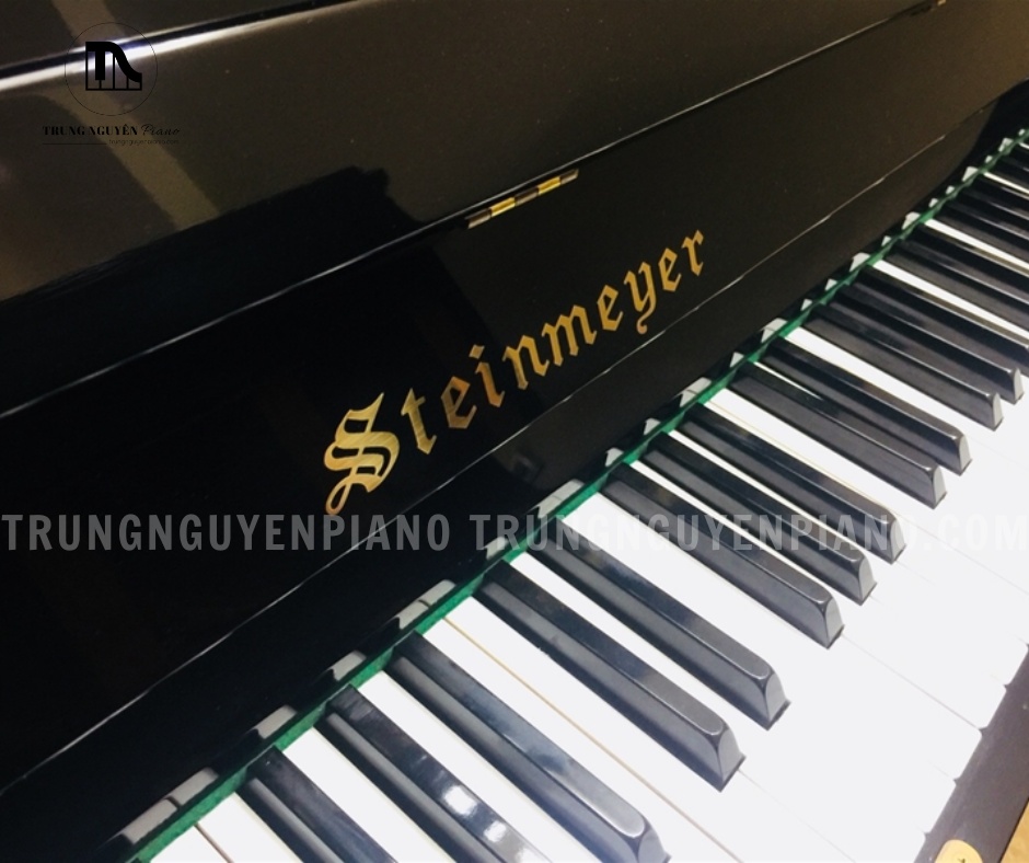 Cận cảnh logo thương hiệu Steinmeyer phong cách cổ điển và bàn phím có độ đàn hồi tốt