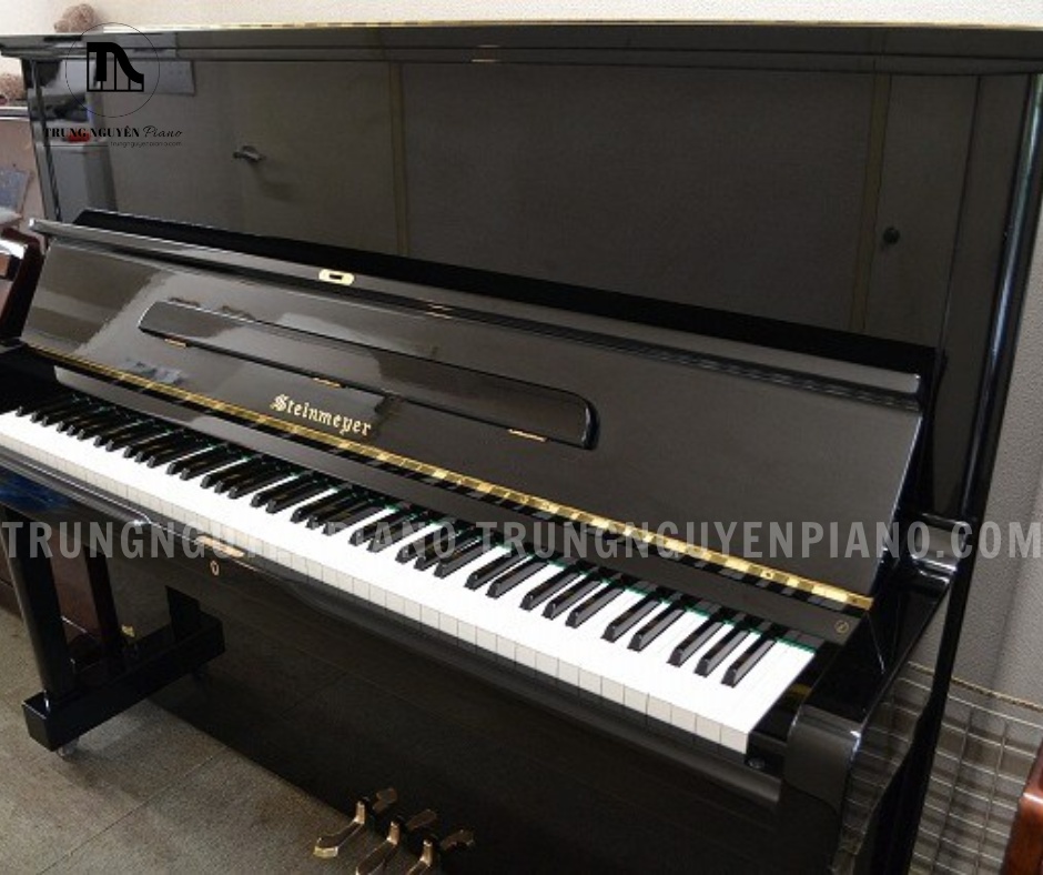 Góc nghiêng đàn Steinmeyer SK2, làm nổi bật kiểu dáng hiện đại và lớp sơn đen bóng
