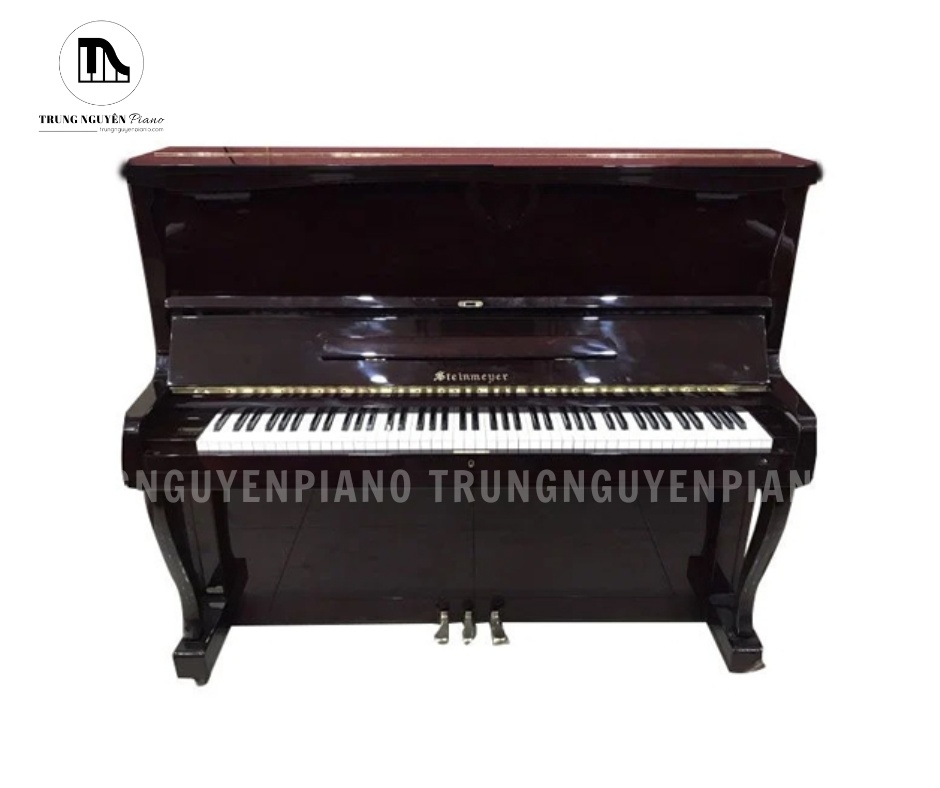 Đàn Piano Steinmeyer TS200 là mẫu đàn piano upright thuộc phân khúc phổ thông