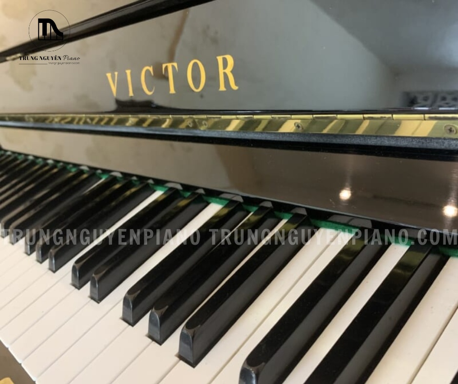 Đàn Piano Victor V107 4 Đàn Piano Victor V107 với các phím đàn có độ nặng vừa phải