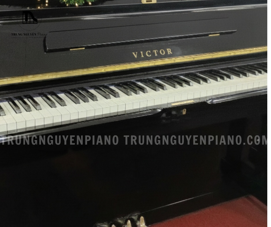 Mặt trước với logo Victor nổi bật và 88 phím đàn tiêu chuẩn