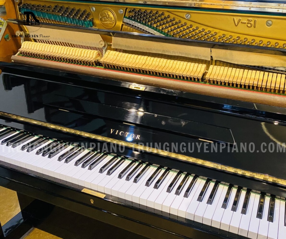 Đàn Piano Victor V31 gồm có 88 phím cơ nhạy bén