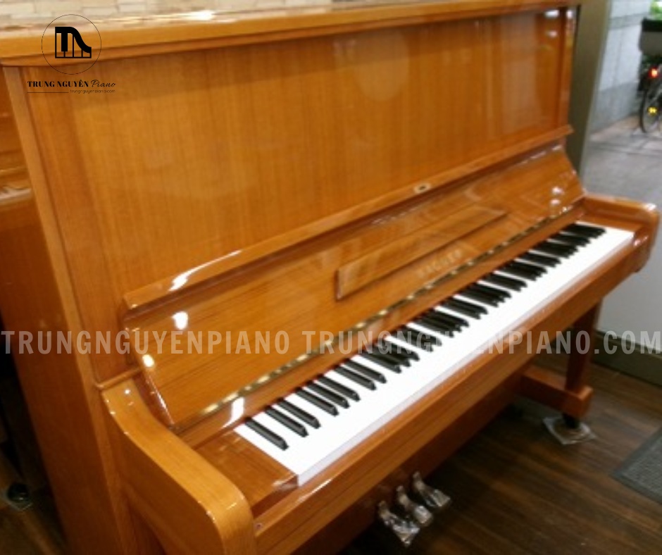 Tổng thể đàn piano Wagner W5 với dáng upright cao, khoang âm lớn cho tiếng vang hơn