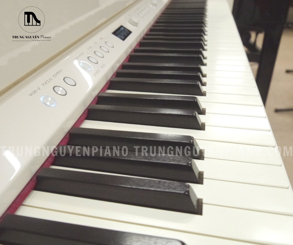 Piano Điện Roland LX708 8 Góc nghiêng bàn phím Hybrid Grand của LX708, cho thấy độ đầm tay và phản hồi phím chính xác