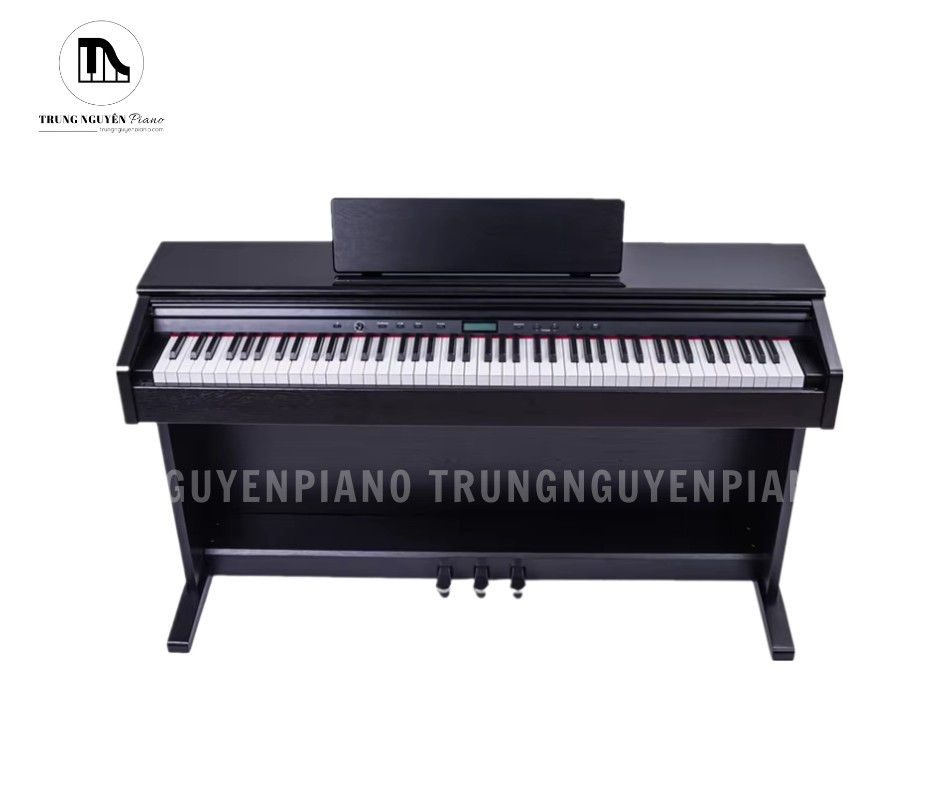 Thiết kế dáng upright gọn gàng của piano điện Beisite B-97, phù hợp cho không gian phòng khách và phòng học gia đình