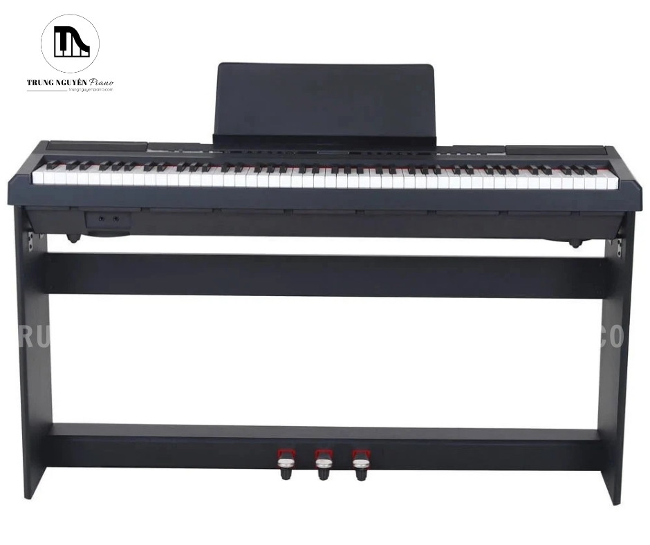 Mặt trước Beisite S-194 nhìn trực diện, bố cục phím và khung đàn cân đối, phù hợp đặt trong không gian gia đình hoặc căn hộ nhỏ