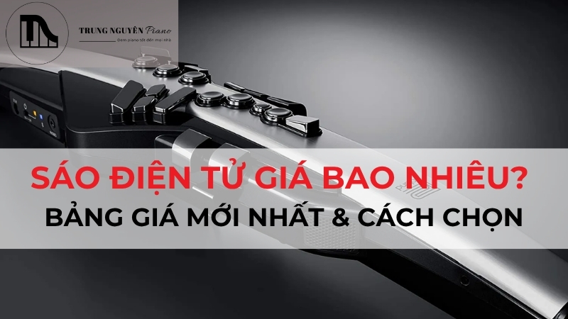 Sáo điện tử giá bao nhiêu? Bảng giá cập nhật mới nhất