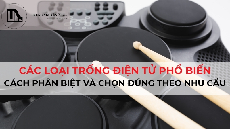 Các loại trống điện tử phổ biến: Cách chọn mua chuẩn nhất