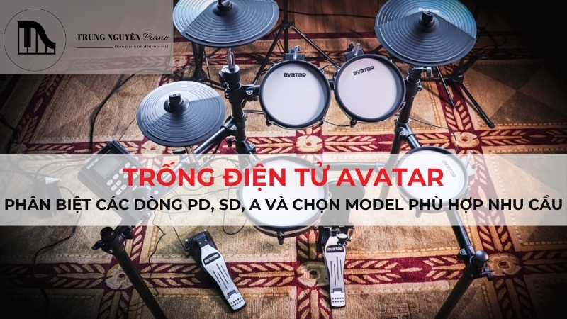 Trống điện tử Avatar: Cách phân biệt các dòng PD, SD và A